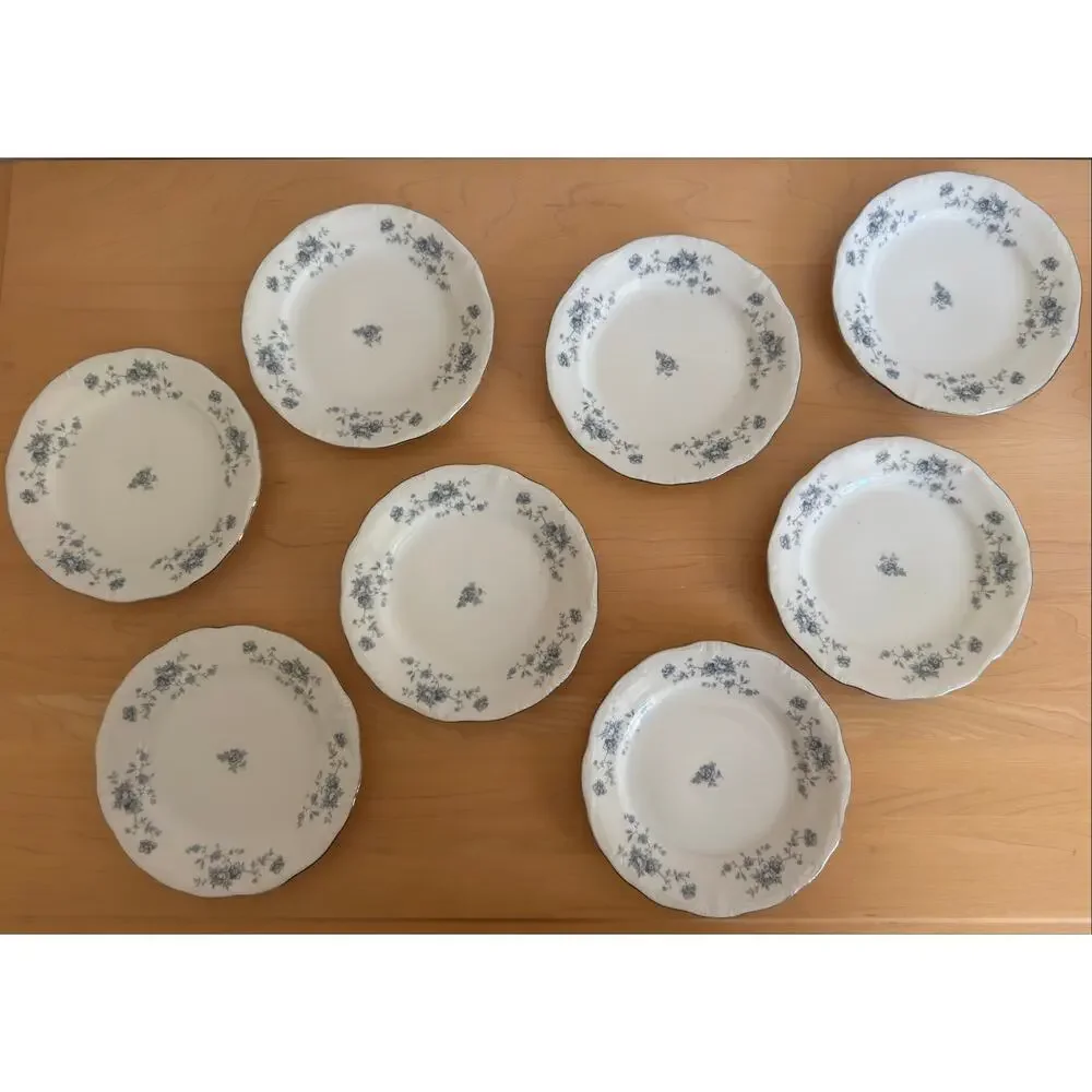 Vintage Johann Haviland Blue Garland Plates Set of 8 Germany China Platinum Trim